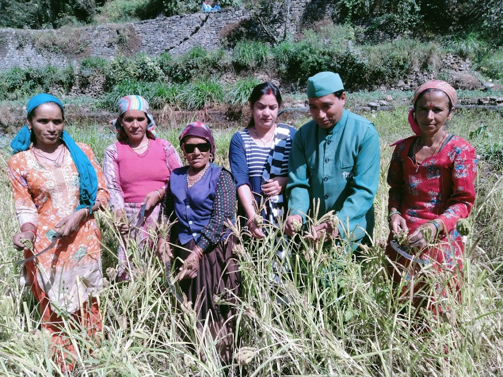 पौष्टिक आहार में सुमार होता हैं मडुवा:डॉ त्रिलोक सोनी।